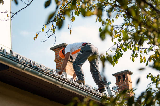 Best Sealant for Roof  in Metlatla, AK