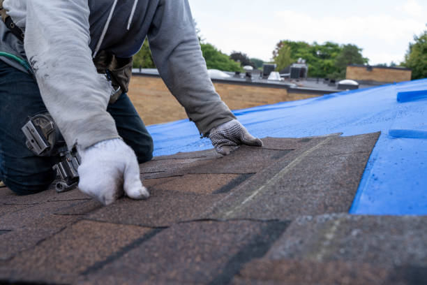 Residential Roof Replacement in Metlakatla, AK